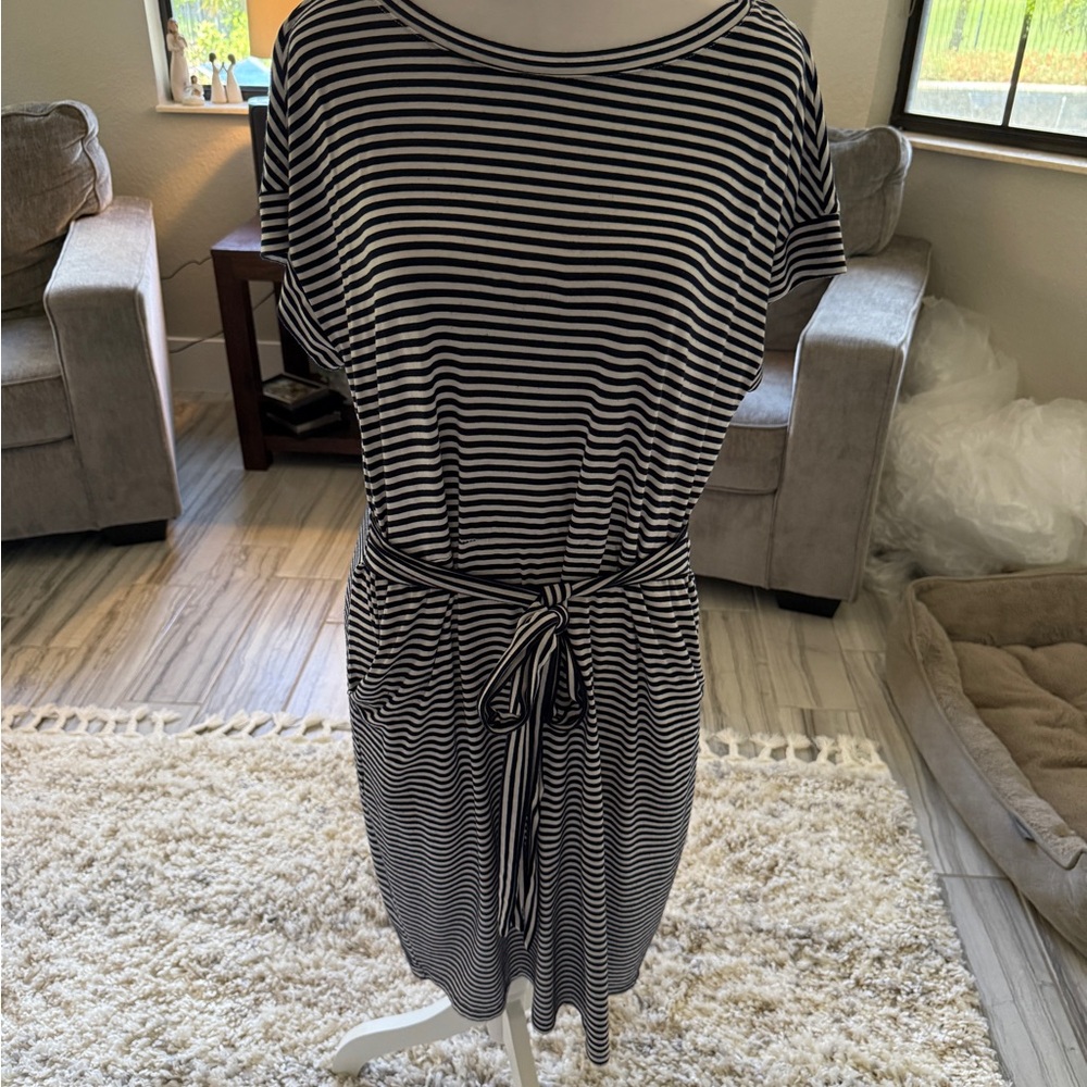 Navy Blue and White Striped Dress with Belt